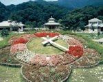 道の駅花の三聖苑伊豆松崎